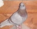 r3